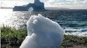 Beauty iceberg' thrills Newfoundland and Labrador - BBC News