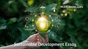 sustainable development essay essay