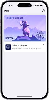 ideny cards to wallet on iphone