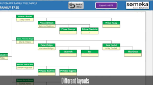 Automatic Family Tree Maker Excel Template