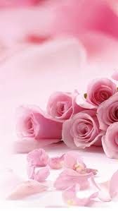 pink roses flower petals iphone 8