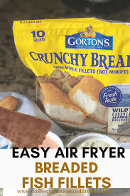 air fryer breaded fish fillets with kid