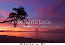 Beach, tropics, sea, sand, palm trees, sunset. Tropical Sunset With Palm Tree Silhoette At Beach Canstock