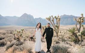 how much does a las vegas wedding cost