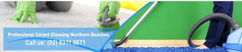 the best carpet cleaning northern beaches