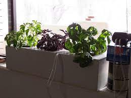 own hydroponic window herb garden system