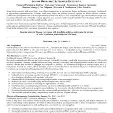 Operating And Finance Executive Resume Inside Due Diligence Report