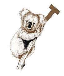 koala t carpet cleaning reviews