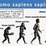 homo sapiens sapiens from www.biologyonline.com