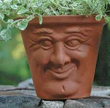 Herb Pots Pots With Faces English