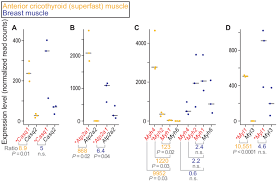 Comparison Of Gene Expression Of The Four Fast Twitch Muscle