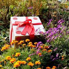 best gifts for gardeners that aren t