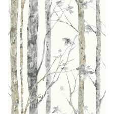 Roommates Birch Trees White And Brown