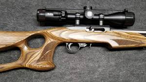 ruger 10 22 target davidson s