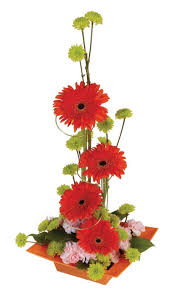 We did not find results for: 34 Four Red Gerberas Daisy 10 Pink Carnation 3 Green Pompon Cushion Mi Fiesta