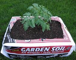 try soil bag planting for no dig beds