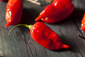 Ghost Peppers 101 Your Complete Guide Pepperscale