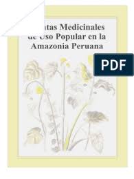 Archivo en formato pdf, 100% español, completo. Plantas Medicinales De Uso Popular En Peru Plantas Medicinales Plantas Medicinales Hierbas Plantas Silvestres