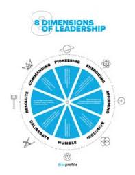 Everything Disc Leadership Styles