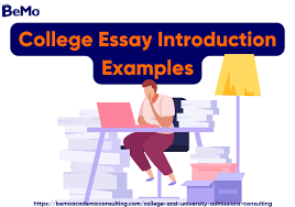 college essay introduction exles bemo