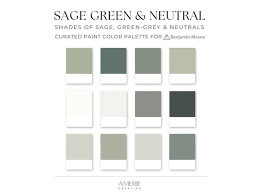 Sage Green Neutral Paint Color