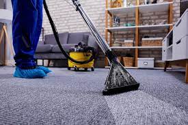 best carpet cleaners in seattle wa