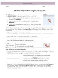 Gizmos digestive system answers (__) the digestive system is a tube running from mouth to anus. Student Exploration Digestive Student Exploration Digestive System Gizmo Warm Up The Digestive Pdf Document