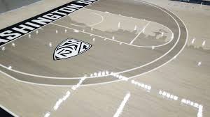 basketball court design you just