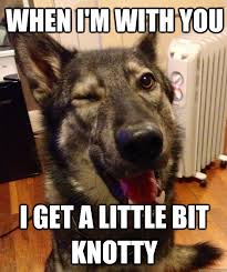 when I&#39;m with you I get a little bit knotty - Pickup Pup - quickmeme via Relatably.com