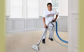 all kind painting cleaning mn your