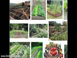 Organic Vegetable Garden Design 3