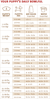 69 Skillful Food Quantity Chart Calculator