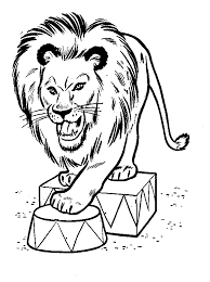 coloriage lion 10406 animaux