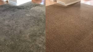 services purechem carpet care