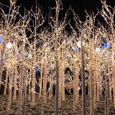 Trail of lights at chatfield farms takes you along a winding path glistening with lights that illuminate the colorado countryside. Blossoms Of Light Go Play Denver