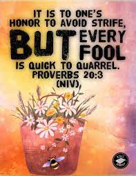 Proverbs 20:3 NIV - Picture Bible Verse