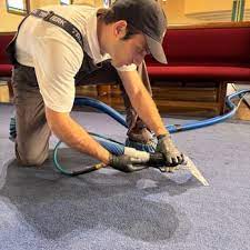 usa carpet cleaning 104 photos 415