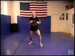 bas rutten dvd thai boxing you