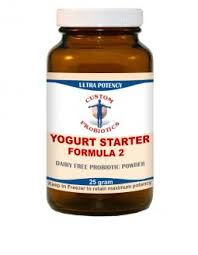 yogurt starter yogurt probiotics