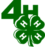 Image result for 4-h clover logo