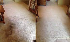 bellevue carpet cleaning deals in and