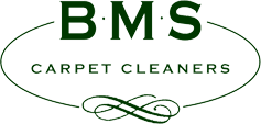 carpet cleaning and professional