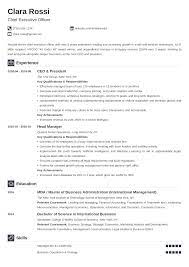 So here we have covered some best ceo resumes which are 100% helpful for the job seekers to grab the chief executive officer job opportunity. Chief Executive Officer Ceo Resume Template Examples
