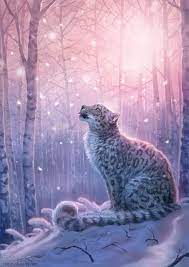 snow leopard wallpapers for