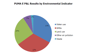 Pumas Environmental Profit And Loss Canadian Business