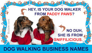 90 Extremely Creative Dog Walking Business Name Suggestions