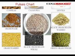 Pulses Chart Learn Pulses Name