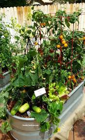 Vegetable Garden Container Ideas Artofit