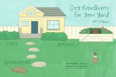 how-do-i-keep-dogs-out-of-my-yard-naturally