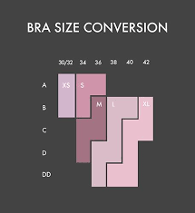 Womens Size Chart Psd Underwear
